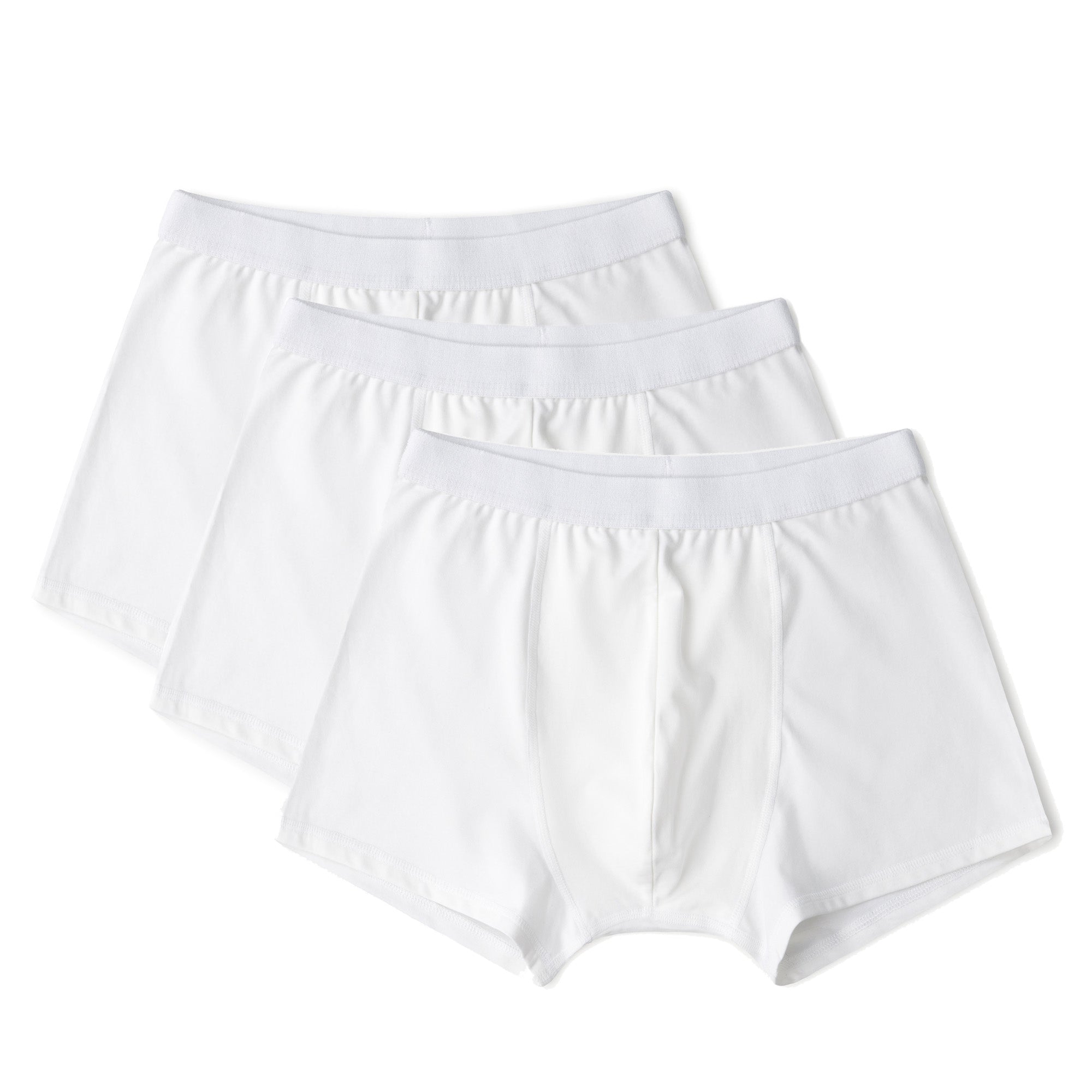 Boxer Briefs In Organic Cotton 3-Pack